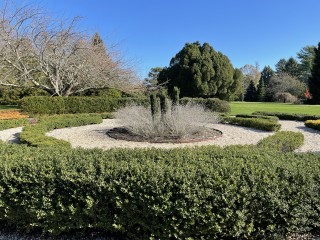 1605884209_20201114_154717551_ios.jpg