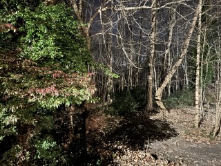 1605884476_20201120_040012337_ios.jpg