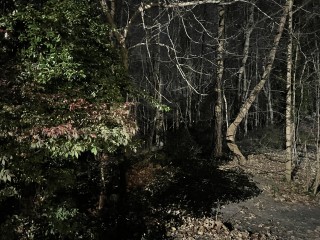 1605884489_20201120_040026045_ios.jpg