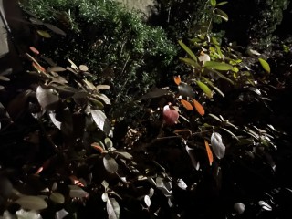 1605884498_20201120_040047252_ios.jpg