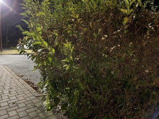 1605884548_20201120_040432026_ios.jpg