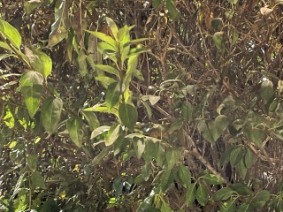 1605884562_20201120_040436391_ios.jpg