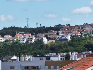 1620382078_zoom_7_4x.jpg