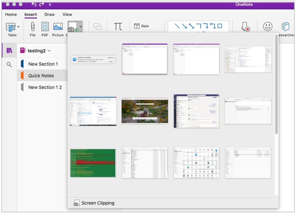 onenote for mac 2016 sections on left