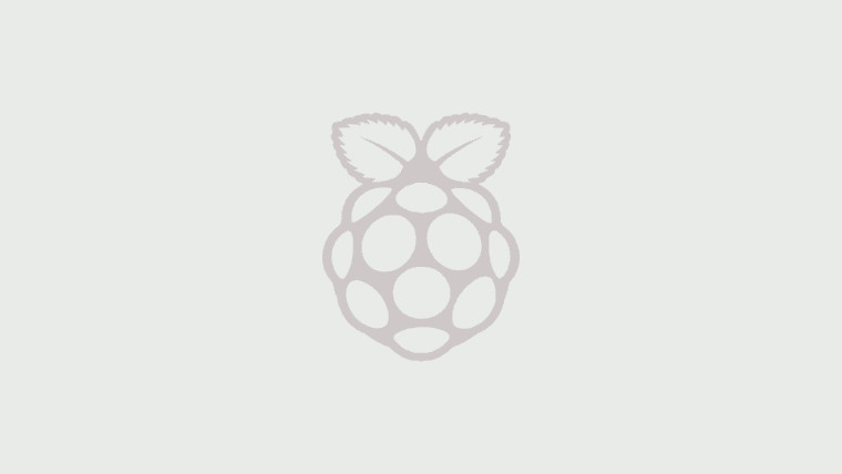 Grey Raspberry Pi logo on grey background
