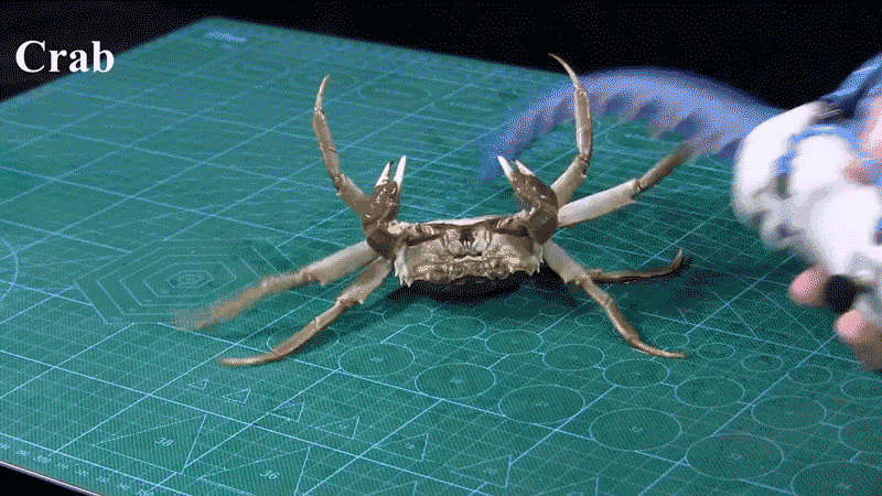 1582868496_crab_grab.gif
