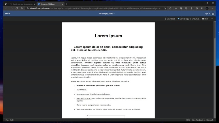 A Word document opened in Office Viewer in the Edge browser