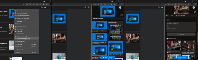 A screenshot of reverse-image search capabilities in Edge