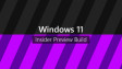 Windows 11 and Insider Preview Build written against a black and varied colored background